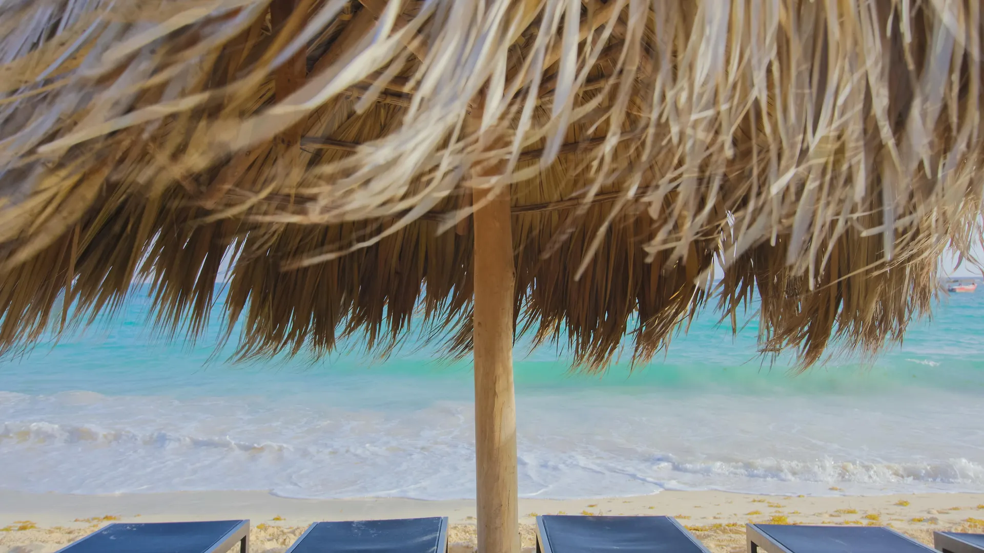 Szálloda Royalton Punta Cana, An Autograph Collection All-Inclusive Resort & Casino Bávaro